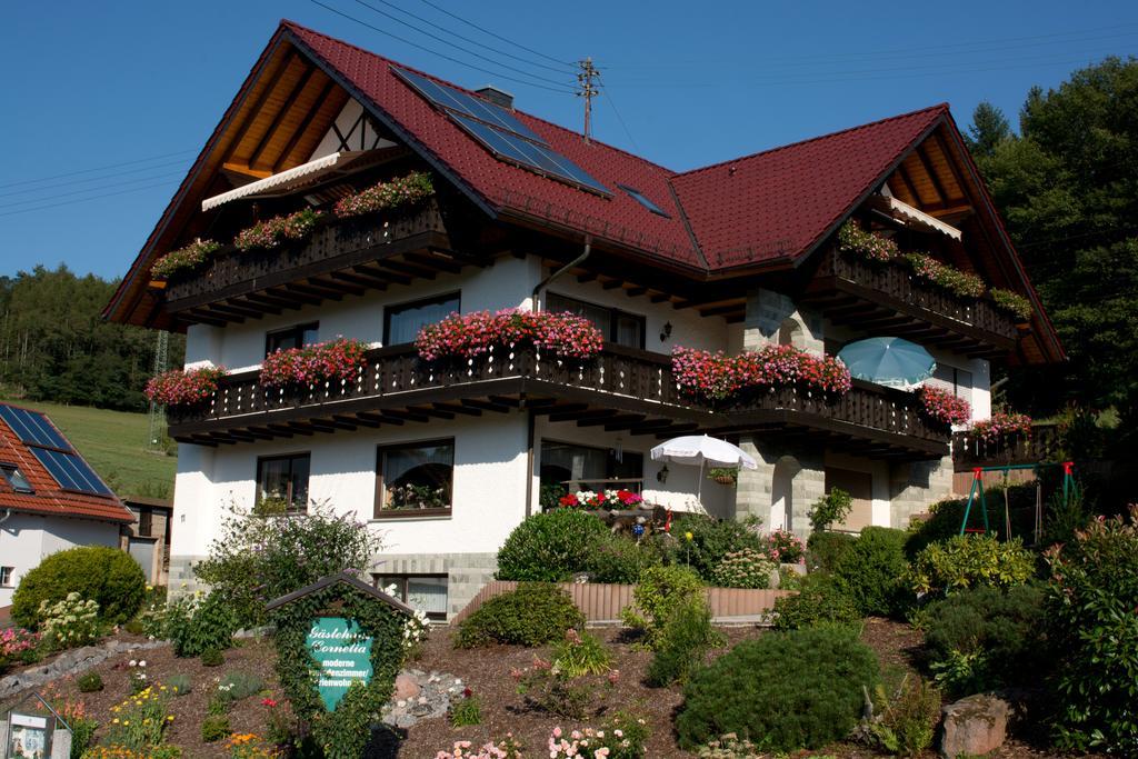 Gaestehaus Cornelia Wildensee Esterno foto